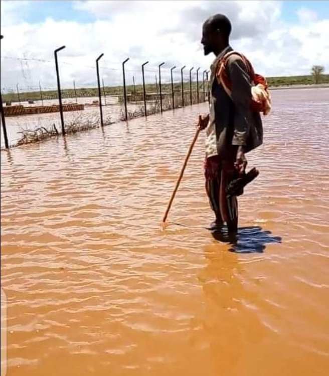 Harunassan's tweet photo. Today, the 'desert' becomes flooded. The rains in the North. Droughts and floods! https://t.co/rDVZ3gbUxr