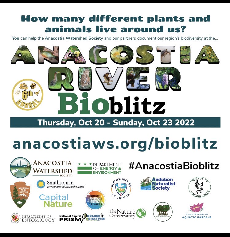 ANSgina's tweet photo. Everyone is welcome to attend this Bioblitz!join the different nature stations and learn what lives in the Anacostia watershed . See you there!@GreenKidsANS @MAEOE_MD @MCPS @PGCPS_RES @ALPSSpgcps #anacostia #bioblitz https://t.co/54jHnJwkU5