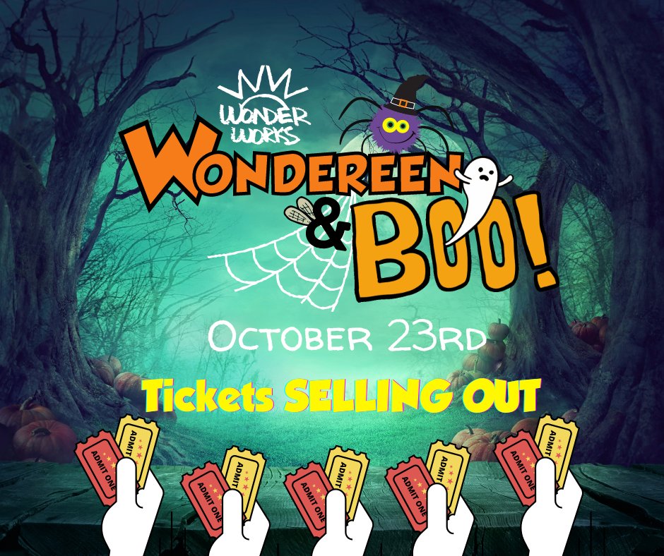 Wonder Works tweet media