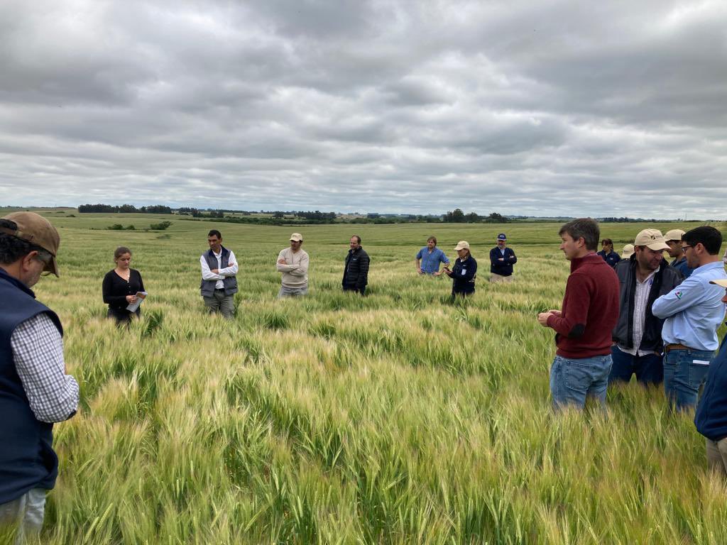 Maltería Oriental SA tweet media