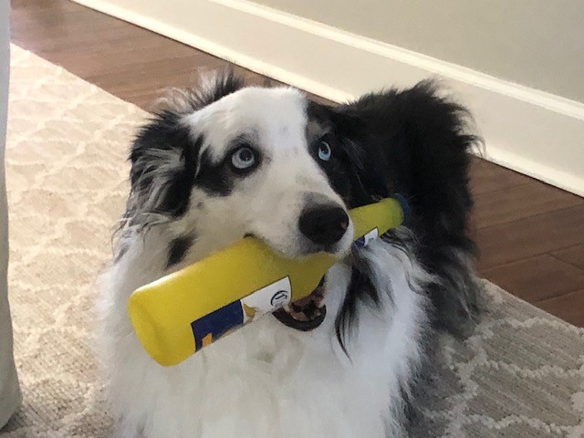 TracyWatts tweet media