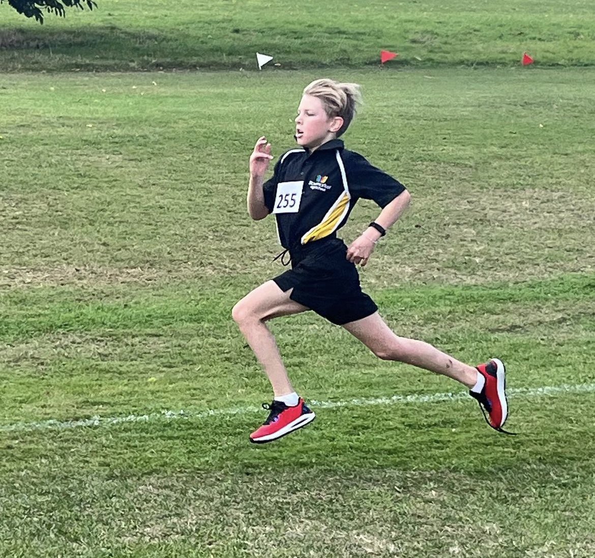 Stowmarket High PE & Sport tweet media