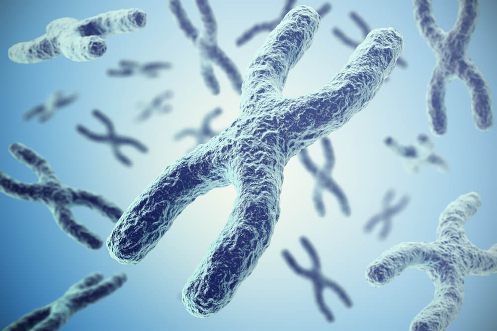 NADAgingScience tweet picture