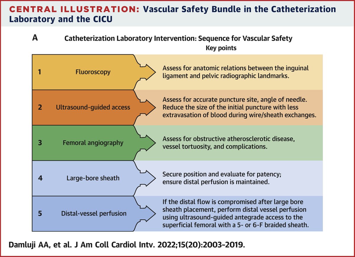 Check out the risk factors, frequency, outcomes of vascular access related #complications for percutaneous #MCS device use in #AMI patients w/ #cardiogenicshock. bit.ly/3yPInKw 🧵 #JACCINT #cvAMI #CardioTwitter @DrDamluji