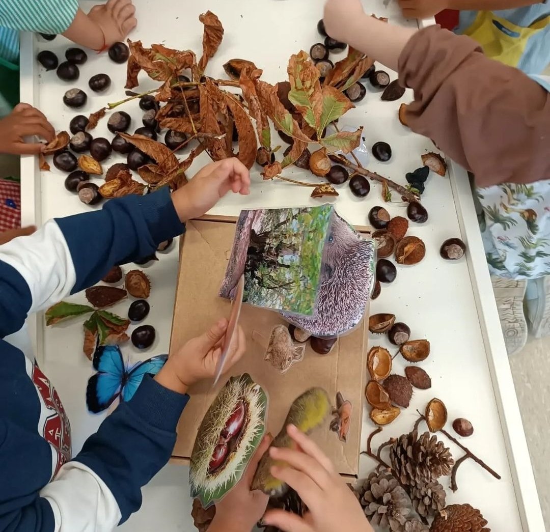 escolacanclos's tweet photo. A la classe de I3 hem explicat un conte de la tardor "La Castanya" 🌰. 
Hem jugat amb les castanyes i amb les pinyes i hem fet classificacions, agrupant les castanyes per una banda i les pinyes per l'altra. https://t.co/qpgBAvoCWe