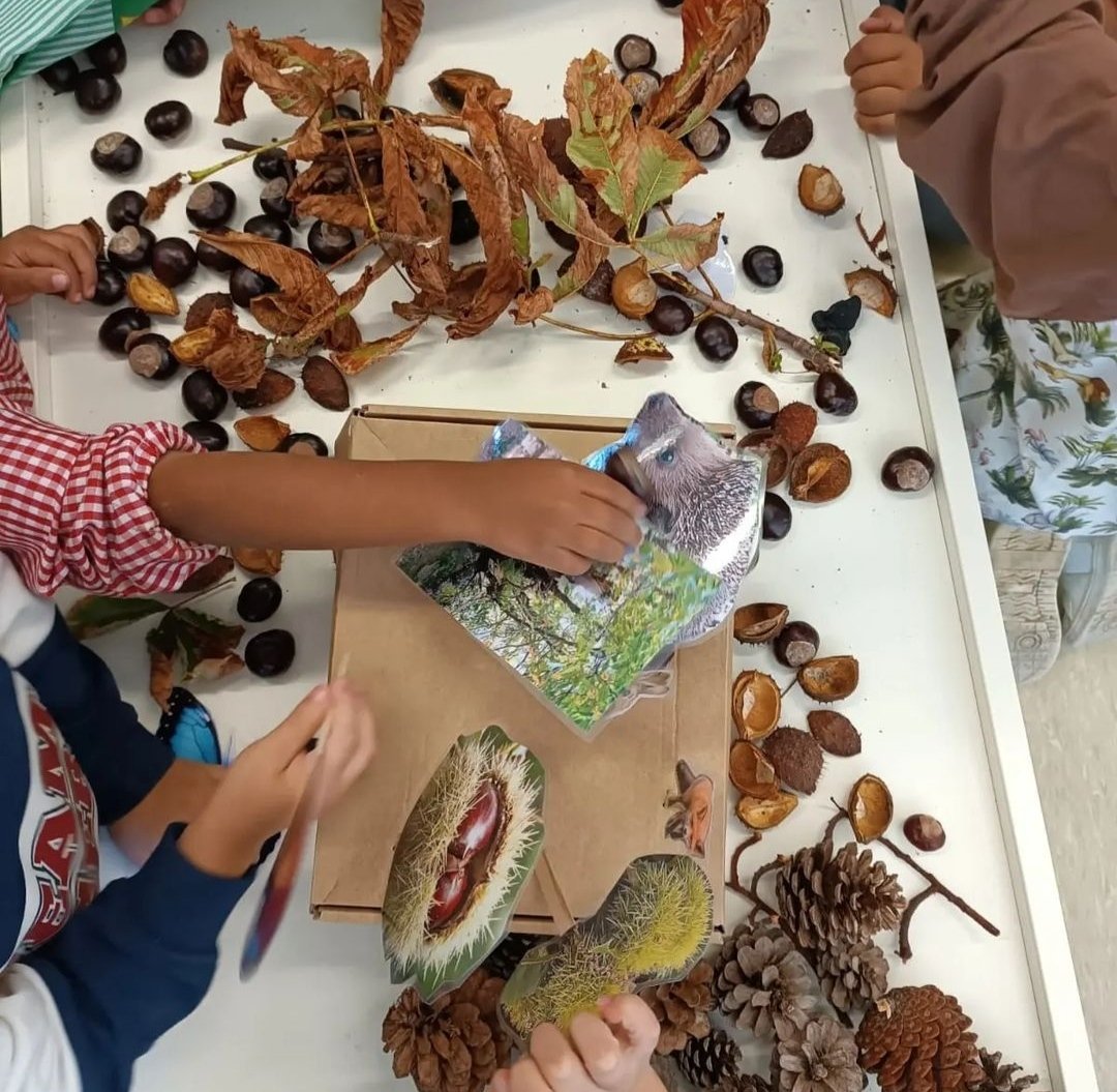 A la classe de I3 hem explicat un conte de la tardor "La Castanya" 🌰. 
Hem jugat amb les castanyes i amb les pinyes i hem fet classificacions, agrupant les castanyes per una banda i les pinyes per l'altra.
