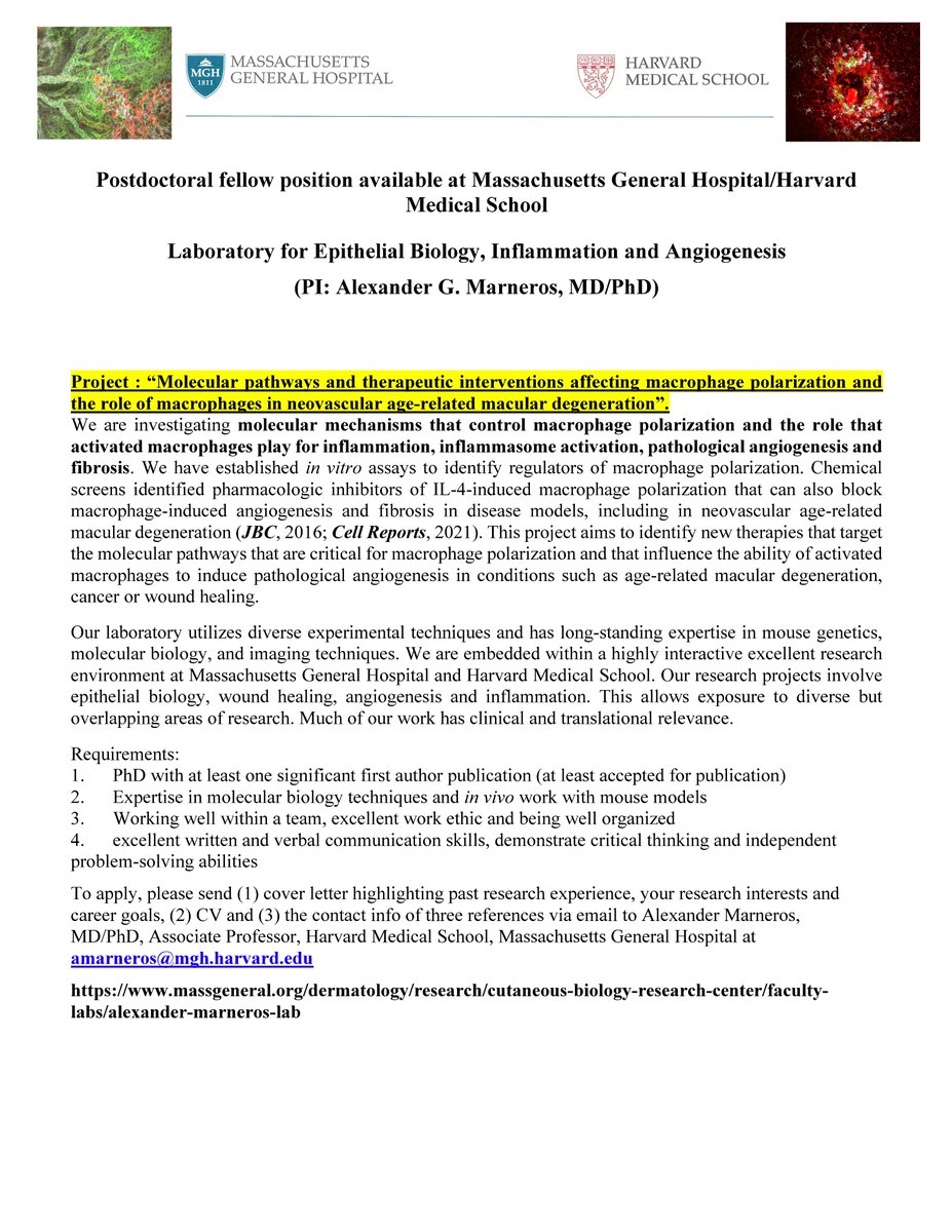 Marneros Laboratory tweet media