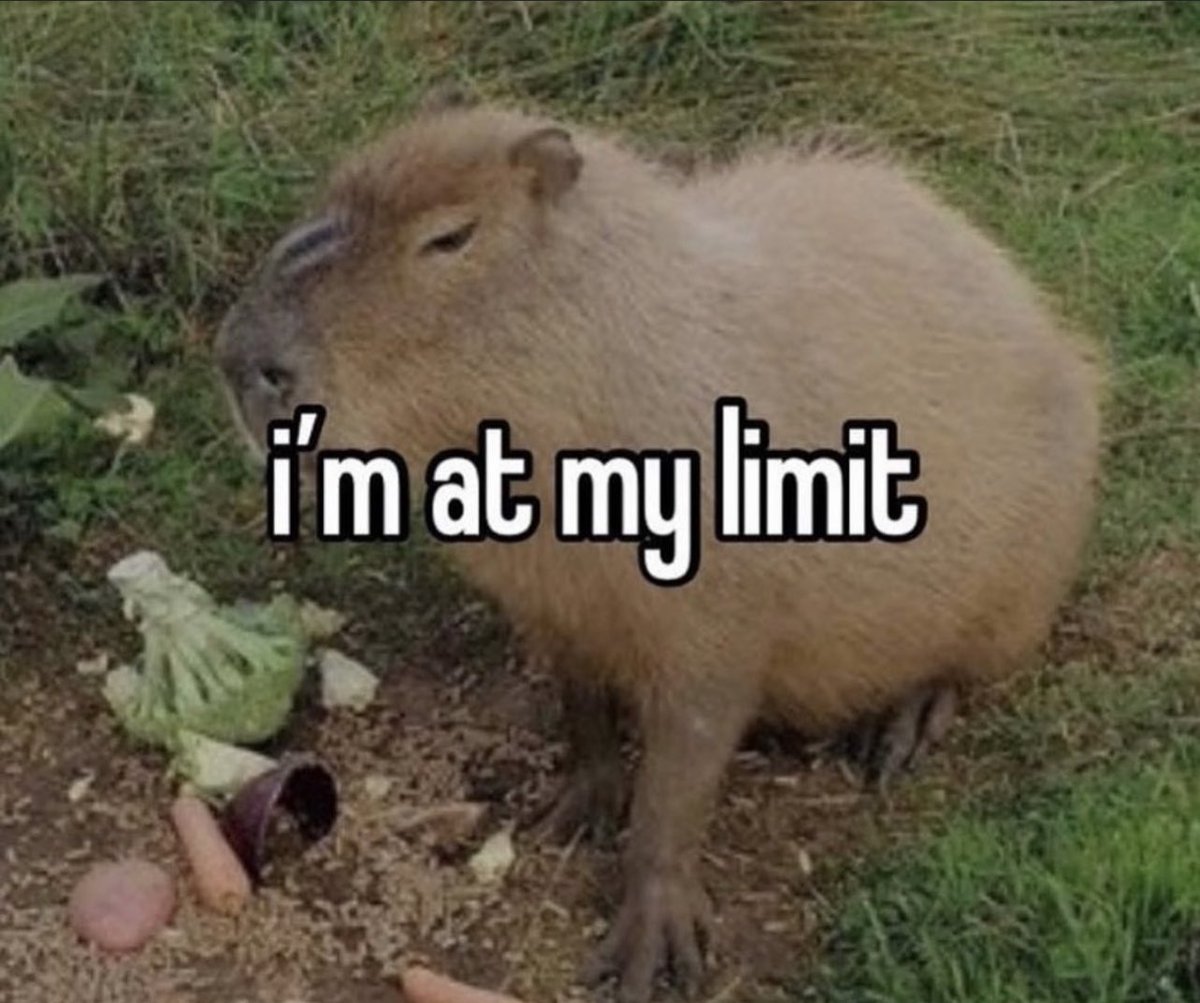 At my limit. At my limit