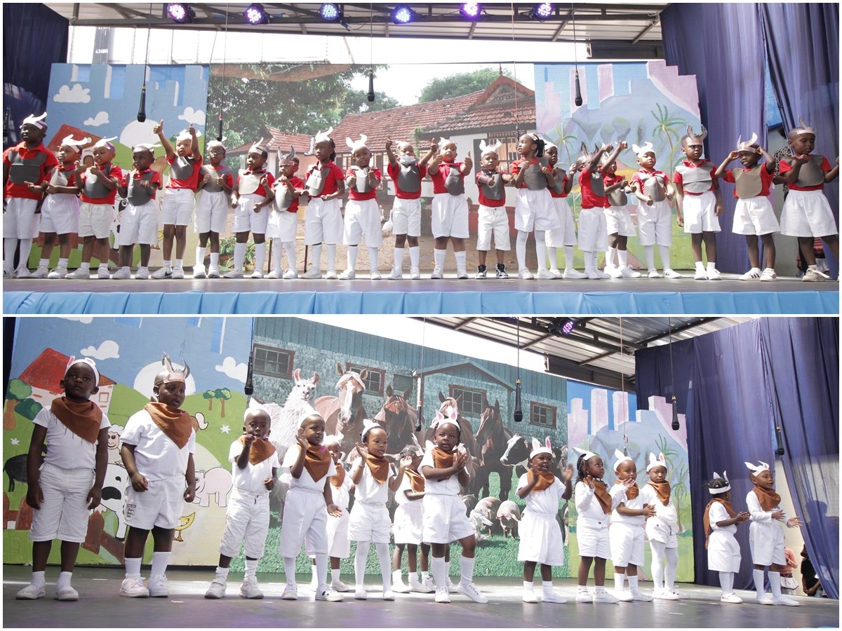 Diamond Junior School tweet media