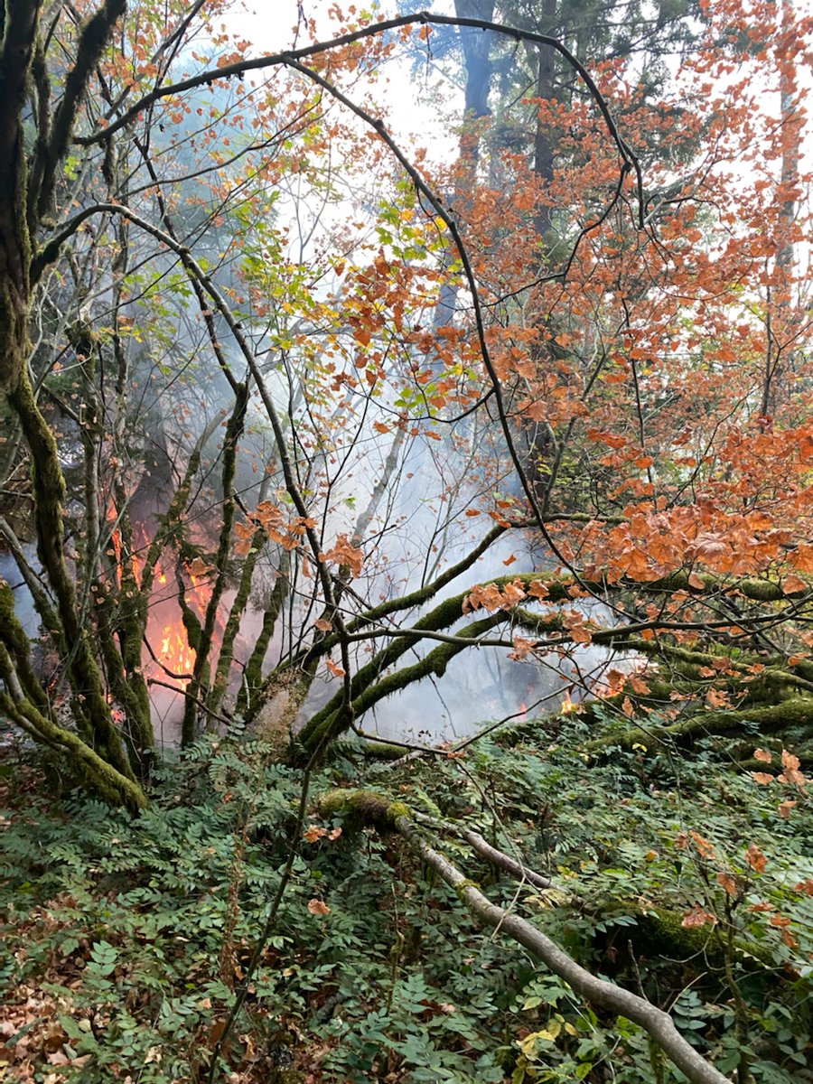 More info on this brush fire response. No structures threatened. Response anticipated to last all day.  See full news release: snoqualmiewa.gov/CivicAlerts.as…