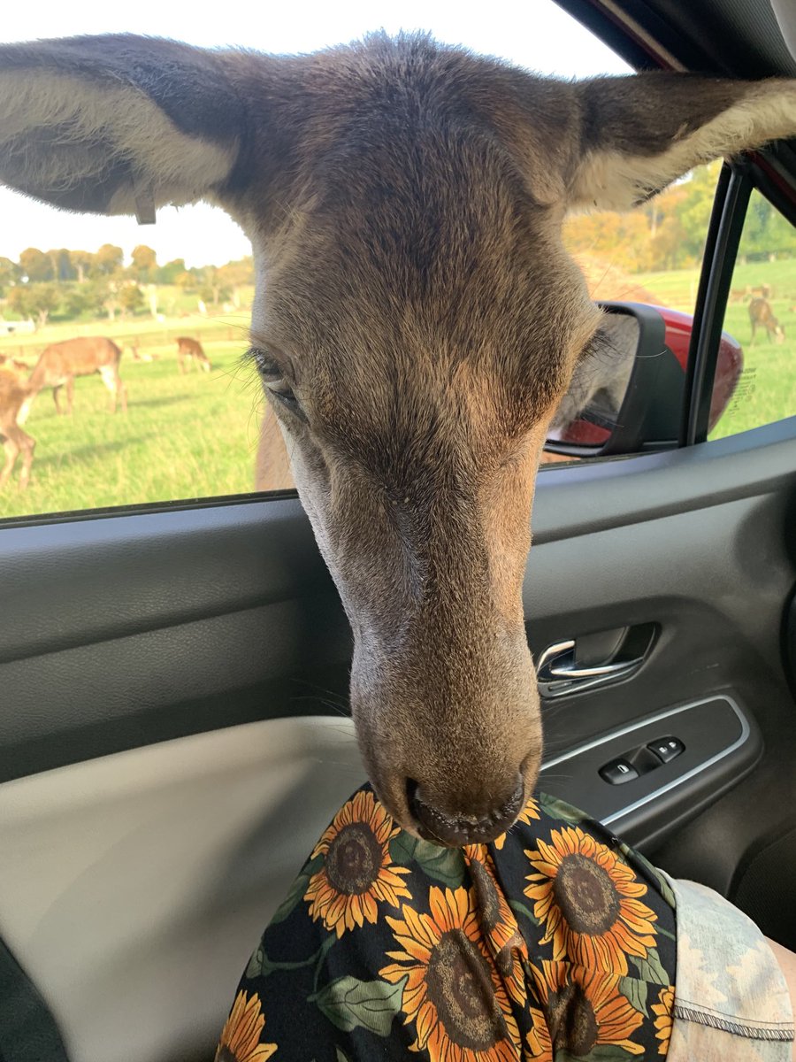 Mrs Harrison tweet media