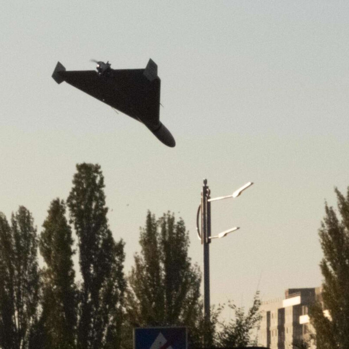 SiMorq🕊 tweet media