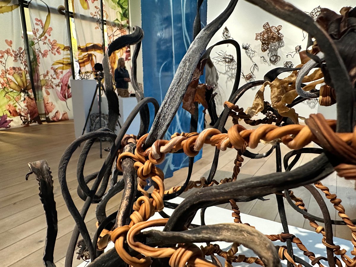 Erol Foundation tweet media