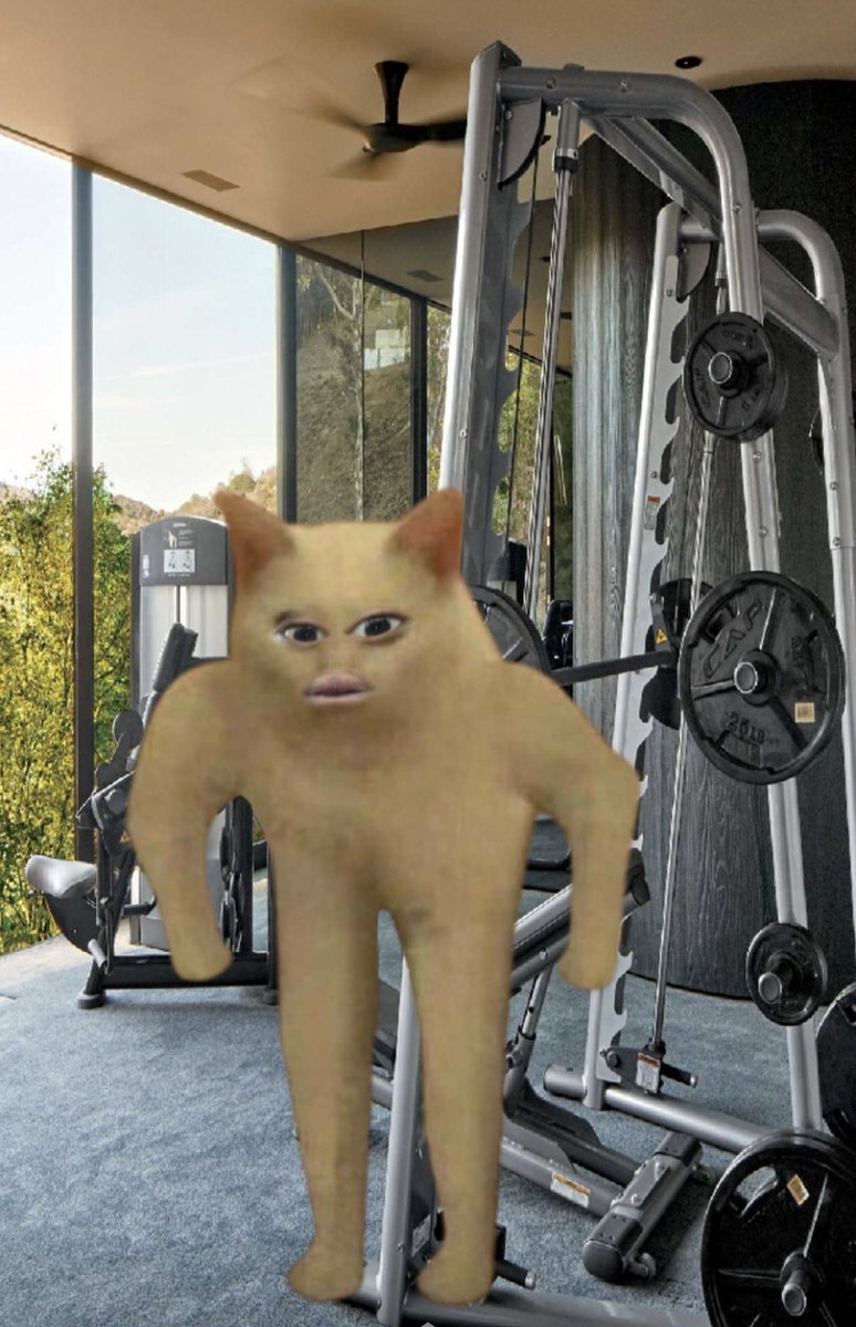Zero_Repeat_'s tweet photo. @_HiroTD_ I’m a gym bro. I like the gym. Let’s be gym dudes together but not actually do anything https://t.co/ZzKQncqmay