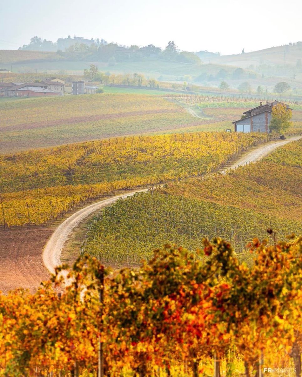 In #ValTidone, durante l’autunno, la “Golden hour” non è solo al tramonto!

📸 @ friacomino • #travelvaltidone
