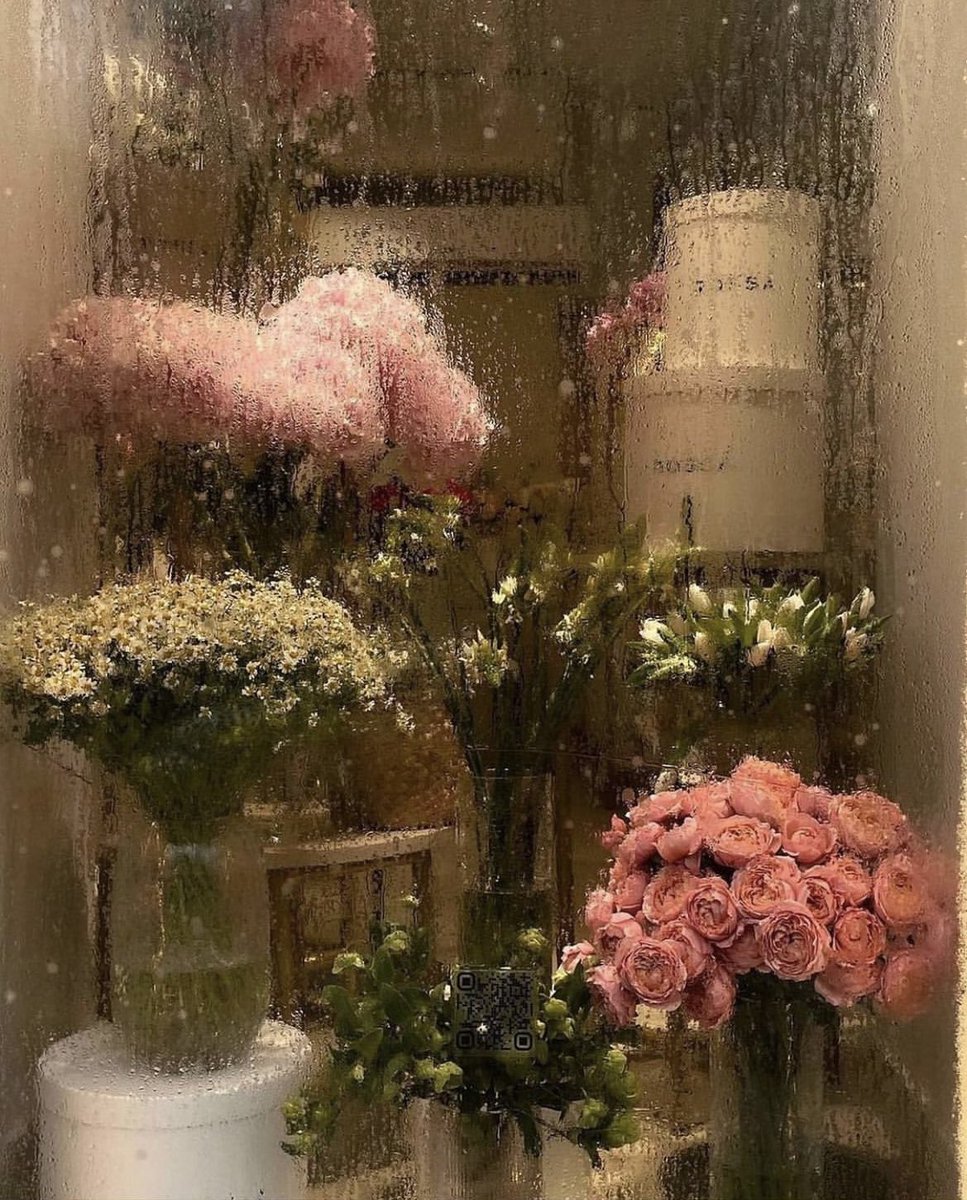 kaitlynscafe's tweet photo. rainy days 🌧️ https://t.co/30rZNOZ5Ru