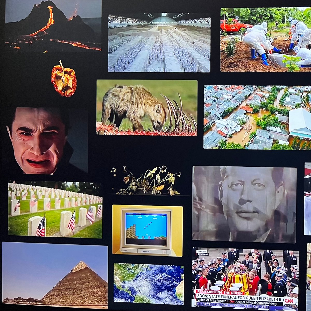 Field Museum on Twitter "A sneak peek of Death LifesGreatestMystery