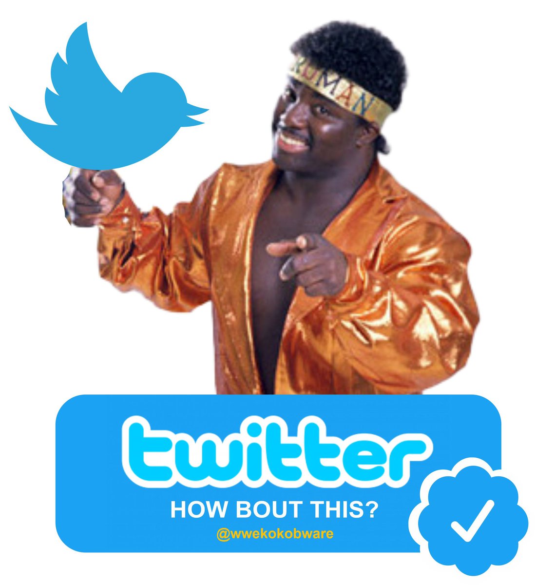 Hey @Twitter @verified is this better? @WWE #Verified #originalbirdman #makeitofficial