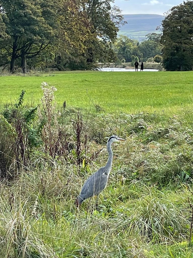 Cavendish Pavilion tweet media