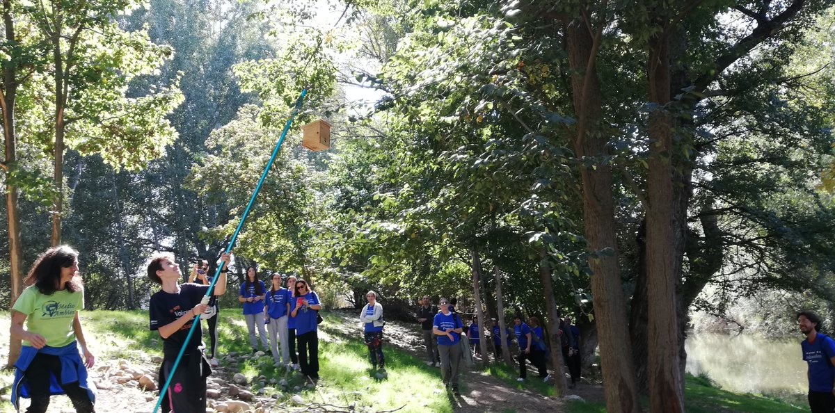 GNMedioAmbiente's tweet photo. Seguimos mejorando las riberas del #ríoJarama en el proyecto #ríossostenibles retirando cerca de 200 kg. de residuos e instalando #cajasnido para aves #paseriformes #rednatura2000 @VolunTelefonica @fundacionTef #voluntariadoambiental #espaciosnaturalesprotegidos https://t.co/vU0UvSdMze