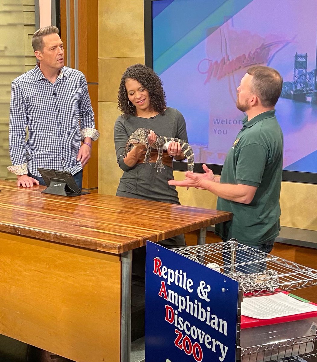 🐊

Totally RAD! theradzoo.com

<a href="/MinnesotaLiveTV/">Minnesota Live</a> 
<a href="/KSTP/">KSTP</a>