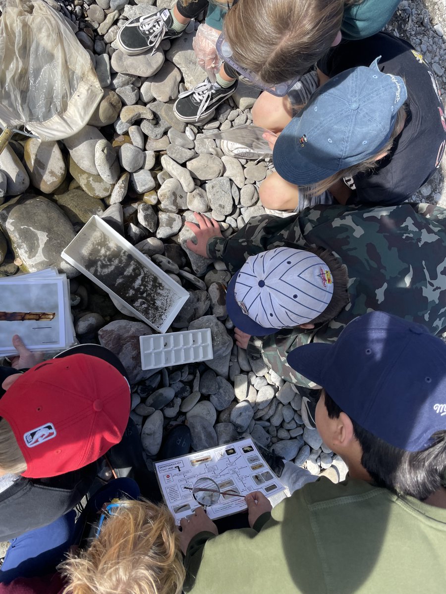 Nickle School tweet media