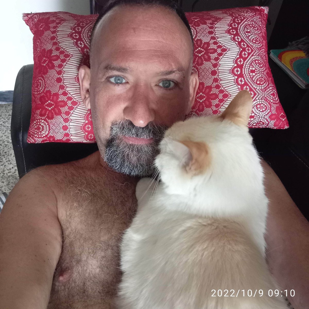 Rincon_Euro's tweet photo. Les presento a Mi Única mascota autorizada Filomena Giuseppina ! Ella me inspiró a crear @Viruteando _andoVzla Lecho Ecológico Sanitario para mascotas ! Visiten nuestra página en IG somos los más económicos. Allí les dejo nuestra ppal competencia #MercadoU en 8$ Nosotros en 4$ ER https://t.co/USiUkbQyrk
