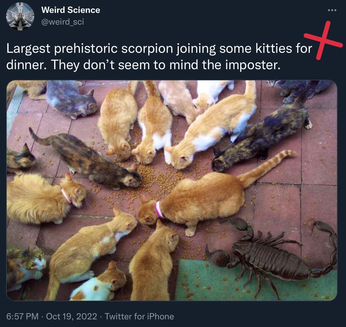 That’s not a real prehistoric scorpion having dinner with cats. It’s a composite photo by Kevin Wisbeth putting the size of massive things into perspective. See: petapixel.com/2016/09/30/com… #RespectArtists