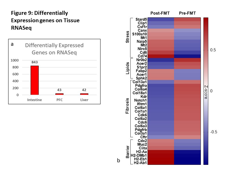 Our RCT➡️⬇️#alcohol drinking post #FMT in #cirrhosis pubmed.ncbi.nlm.nih.gov/32750174 Question Are #microbiota enough for this ? YES! Stools, but🚫supernatants from pts post #FMT ⬇️drinking in GF mice thru #SCFA ⬆️#intestine RNAseq changes>>liver or brain Read⤵️ rdcu.be/cXTxo