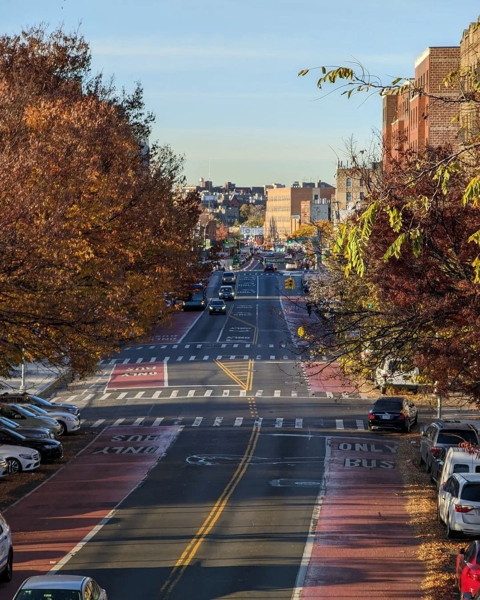 BronxConnect's tweet photo. 🍂🍁 Fall vibes in the Bronx! Love our borough!
📸 inthebronx
#BronxConnect #endviolence #gunviolenceprevention #bronx #elbronx #advocacy #antiviolence #nyc https://t.co/mdODHH5o2l
