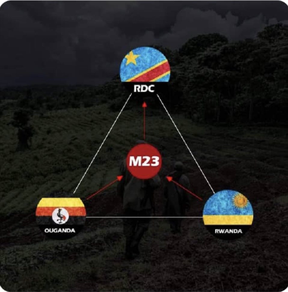 Patrick Ngankoy tweet media