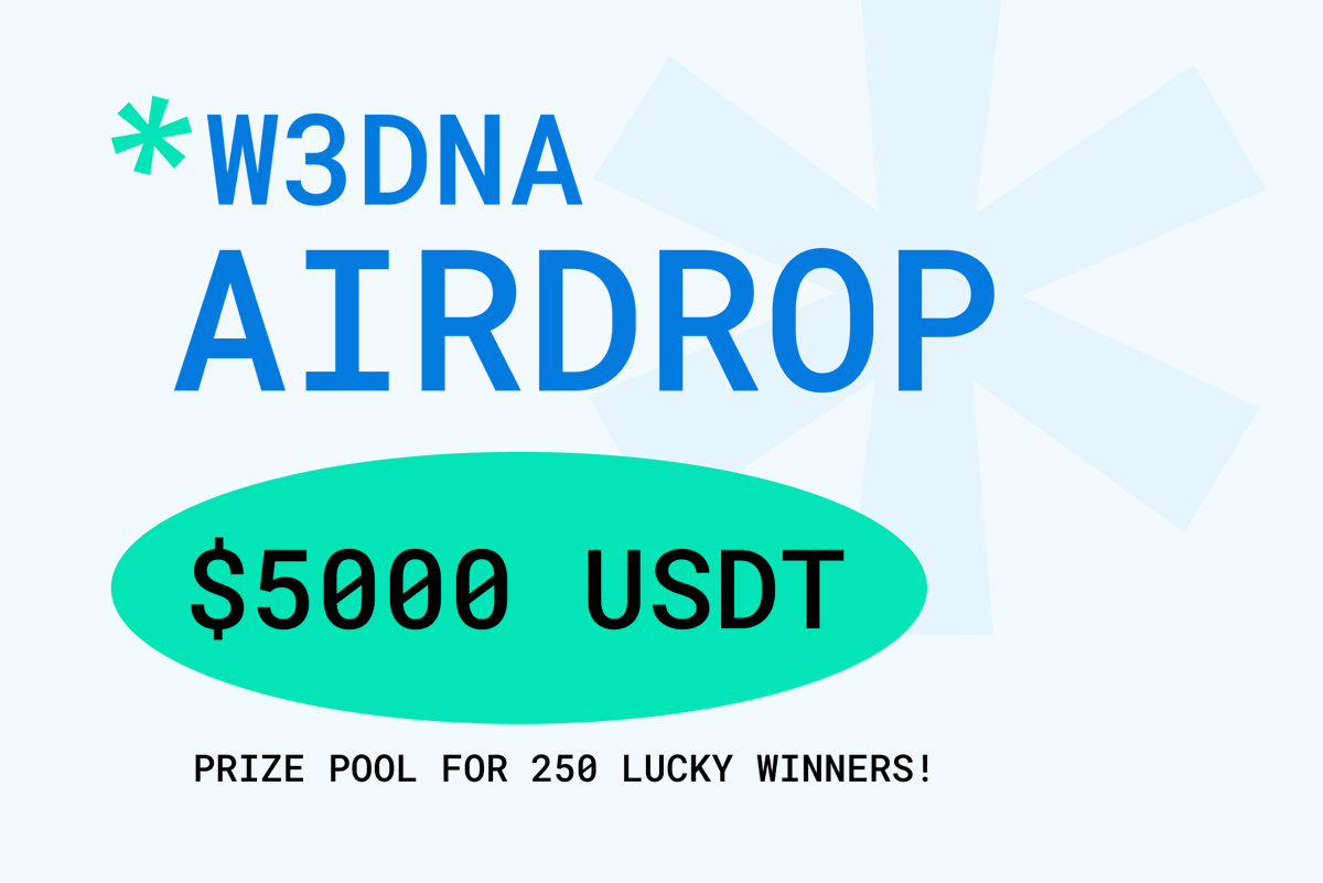 Airdrop Inspector tweet media