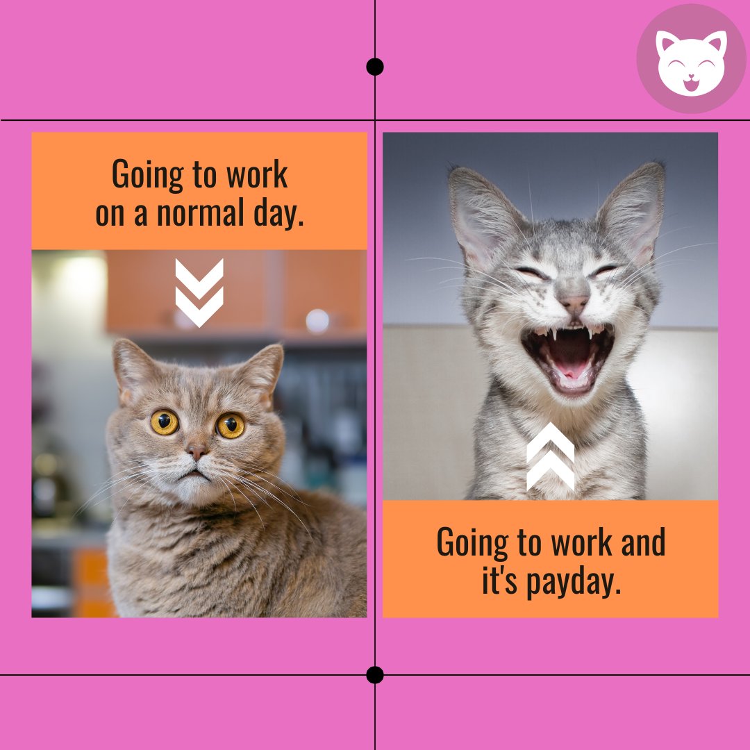 cutekittyorg's tweet photo. https://t.co/gprmJ2hIzp