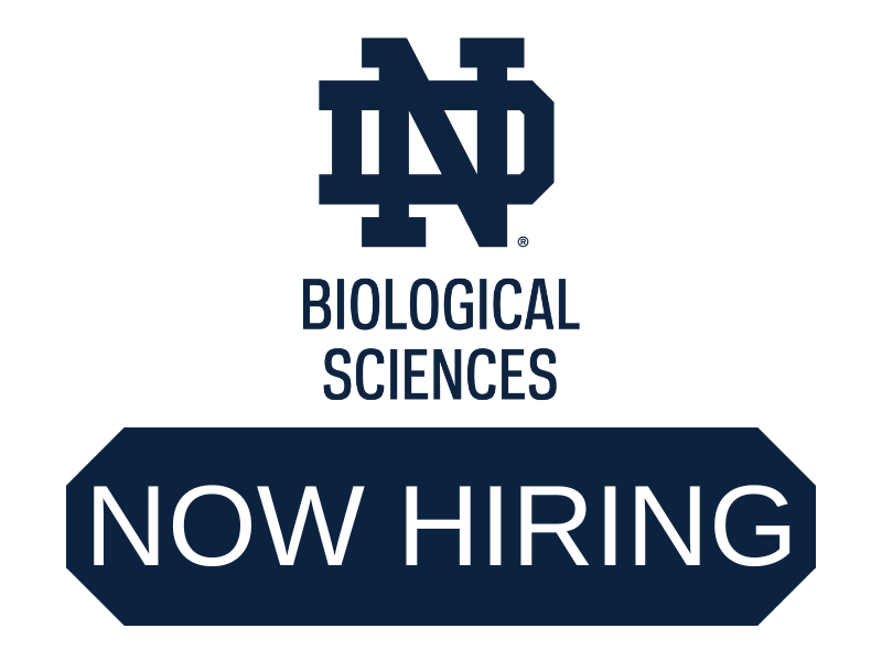 The Department of Biological Sciences at the University of Notre Dame seeks to employ biology educators for our Introductory Biology sequence, ecology, anatomy, or genetics courses. Two renewable appointments are available, starting in fall 2023. Apply: bit.ly/3VAomBw