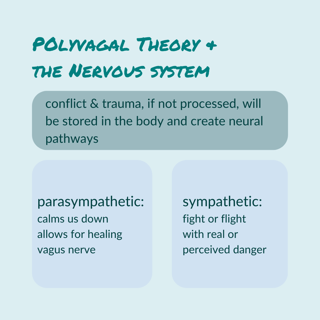 Do you use polyvagal theory in your practice? #calmconflict #neuroscience #selfcarecoach #conflictcoach #traumacoach #nervoussystem #fight #flight #freeze #trauma #conflict #polyvagaltheory #vagusnerve #neuralpathways #bodyholdsthescore #parasympathetic #sympathetic