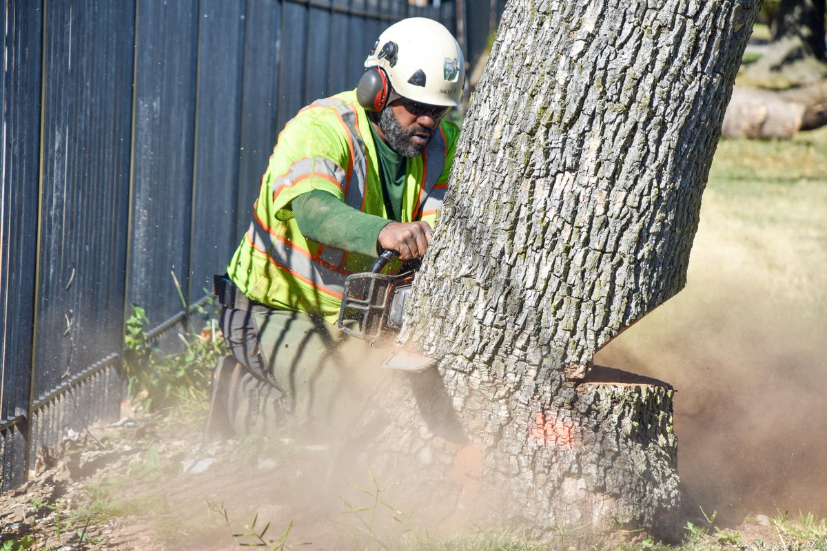 NatureConservancy_MO tweet media