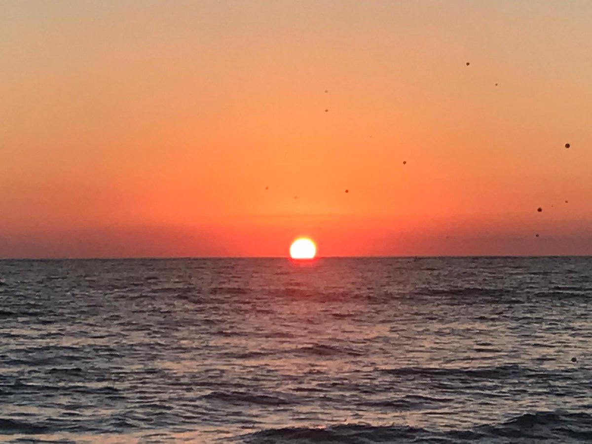 Dr. Lucy Blue tweet media