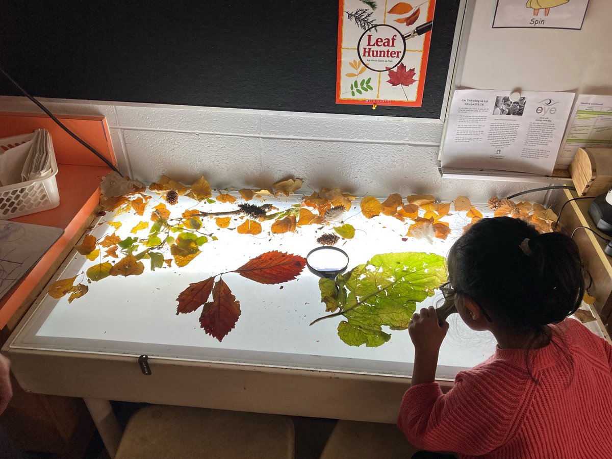 KeelerSchool's tweet photo. Science discovery in Kindergarten! Learning about our environment and how it changes. Learning how to be respectful, gentle and caring for our land. #Keeler #WeAreCBE https://t.co/LnpgXKWGtj