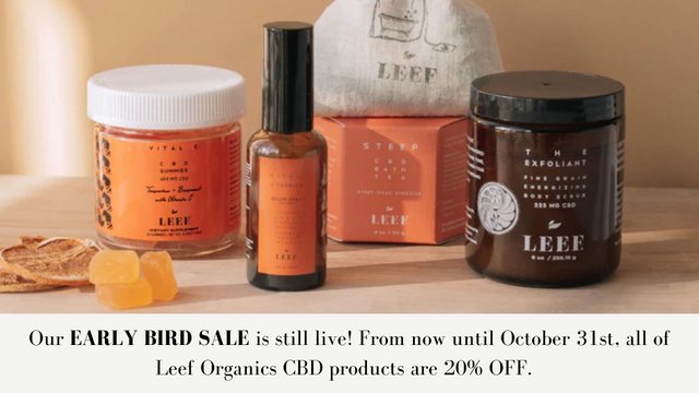cbdtop10's tweet photo. Leef Organics released a new line of citrus CBD products, including a CBD room spray and CBD gummies with Vitamin C. Right now get 20% off sitewide with code EARLYBIRD! Check out Leef at https://t.co/Vr1by4AjDt  #CBD #CBDoil #bestcbdoil https://t.co/e5lLEa81NH