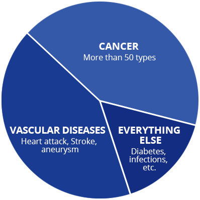 GlobalExeHealth's tweet photo. Why Global Executive Physical is intelligent?
Because,
👉It has to be to keep track of so many problems waiting to happen.
👉The Global #Executive #Physical monitors for hundreds of emerging diseases and conditions by sensibly applying modern surveillance methods to your health. https://t.co/uh5pZj0xR6