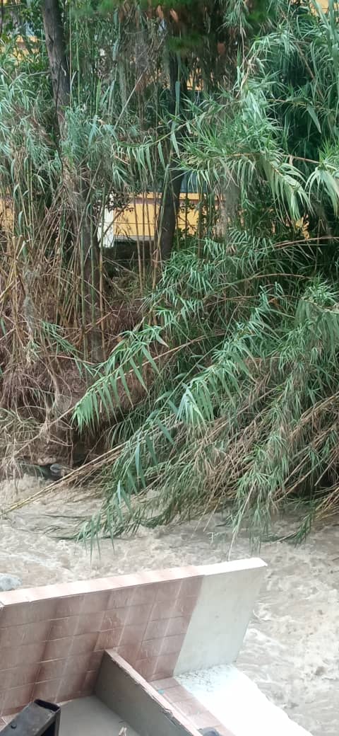 leoperiodista's tweet photo. #19Oct..#Mérida..Locales y casas afectadas  en las inmediaciones de La #Pedregosa Sur (frente La Horqueta) https://t.co/ws4hARODzY