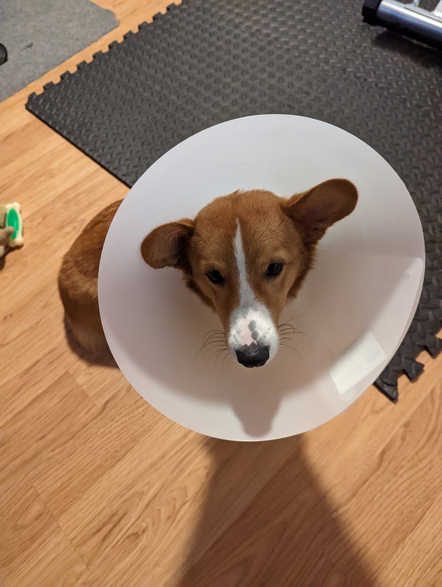 Chris Burson tweet media