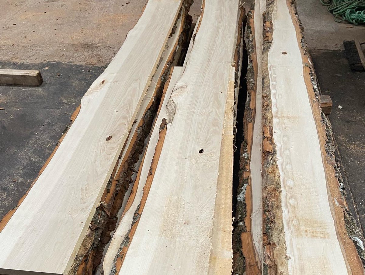 WenTimberCentre's tweet photo. Poplar is proving popular at the moment and this lovey lot has just gone in the showroom ππ³#poplar #hardwoodshowroom #localtimber #sustainabletimber #southwales #southwest https://t.co/7BUSzVnIkG