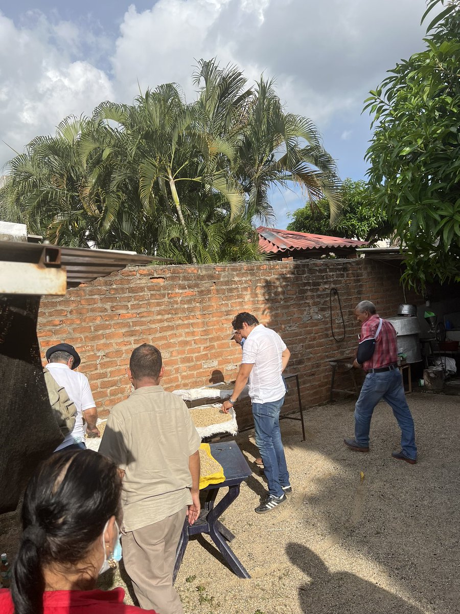 JhonFlorezJim's tweet photo. Dialogando con los cafeteros en el corregimiento de Azúcar Buena, Valledupar. Necesitamos q el campo del Cesar florezca y genere las oportunidades de empleabilidades frente a la crisis de desempleo q tiene nuestro territorio. 
Así mismo, lograríamos desarrollar la agroindustria. https://t.co/Gtu6a9PWAn