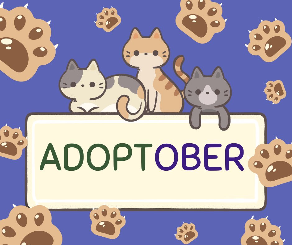 bromleycats's tweet image. It's #Adoptober and we have plenty of feline friends looking for their #FurEver homes. If you think that you could offer a cat a home, why not get in touch? Or you can see more information on adoptions here:
bit.ly/3D61ktZ
#RecueIsTheBestBreed #AdoptDontShop #AdoptACat