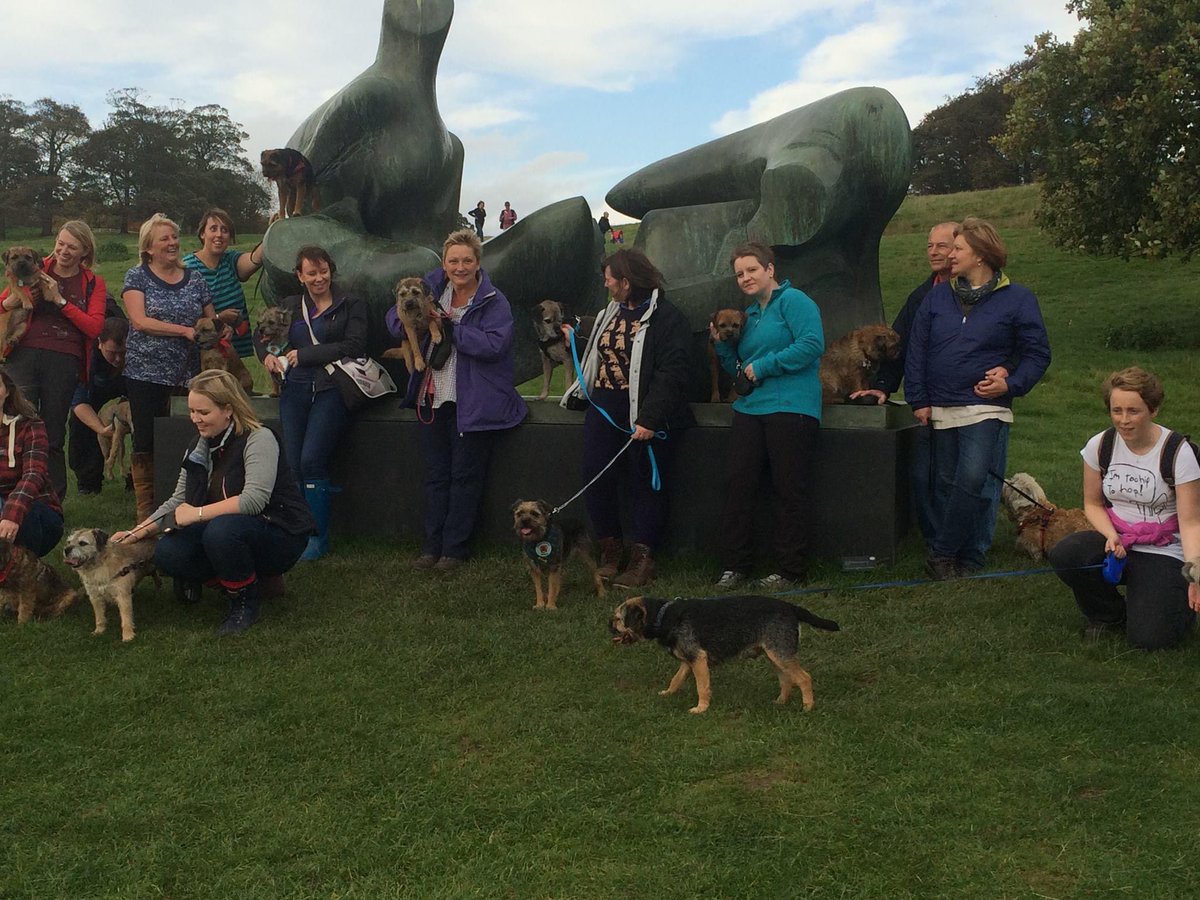 Sir Smiffy the dog OBE tweet media