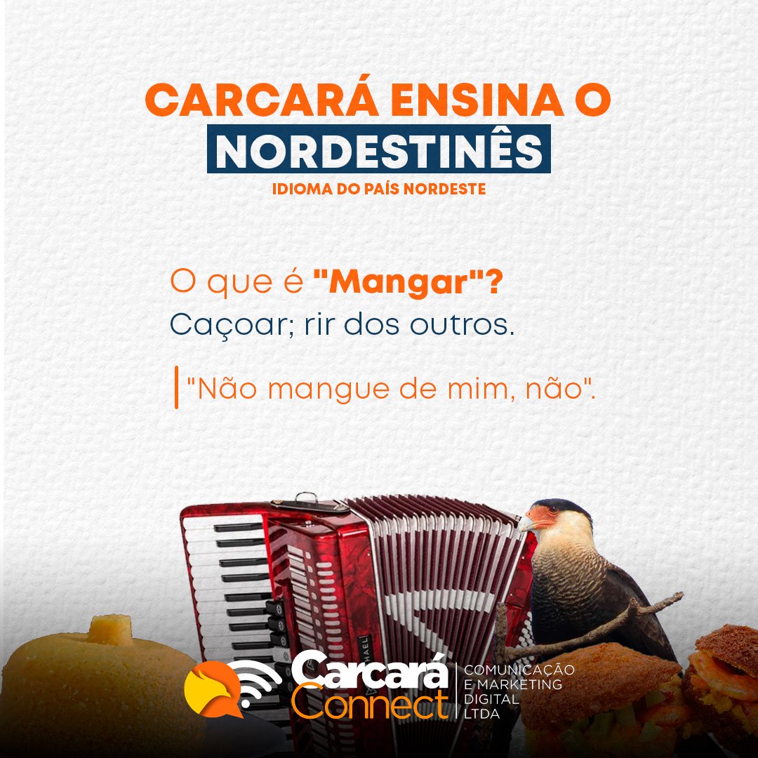 carcaraconnect's tweet photo. Cansado de mangarem das suas redes sociais? Então se avexe e #VempraCarcará. 🦅🌵

👨🏾‍💻 A Carcará Connect é uma agência de Comunicação e Marketing Digital genuinamente nordestina, que oferece desde o planejamento, até a gestão de conteúdo para seu projeto ou negócio. 
#nordestinês https://t.co/jEPDvRNcqL