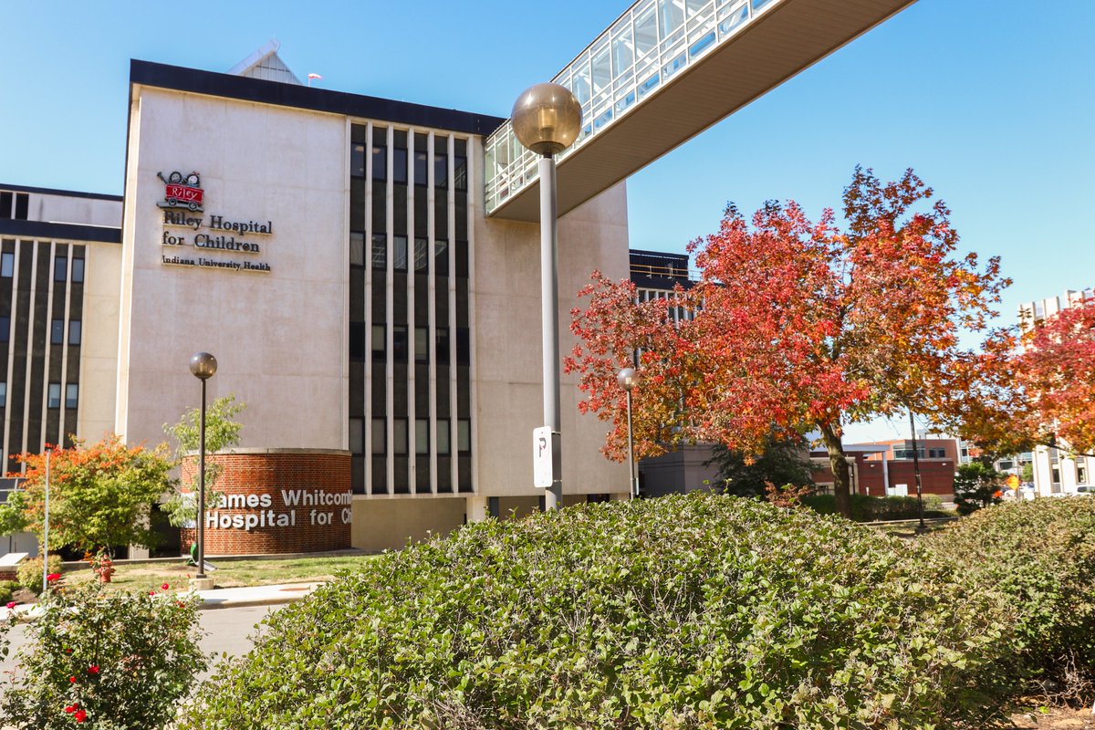 IUDeptPeds's tweet photo. We are FALL-ing in love with our campus! Especially @IUWellsCenter and @RileyChildrens 
Photos by Sydney Gendron @sydney_gendron https://t.co/RVC6cWxNtR
