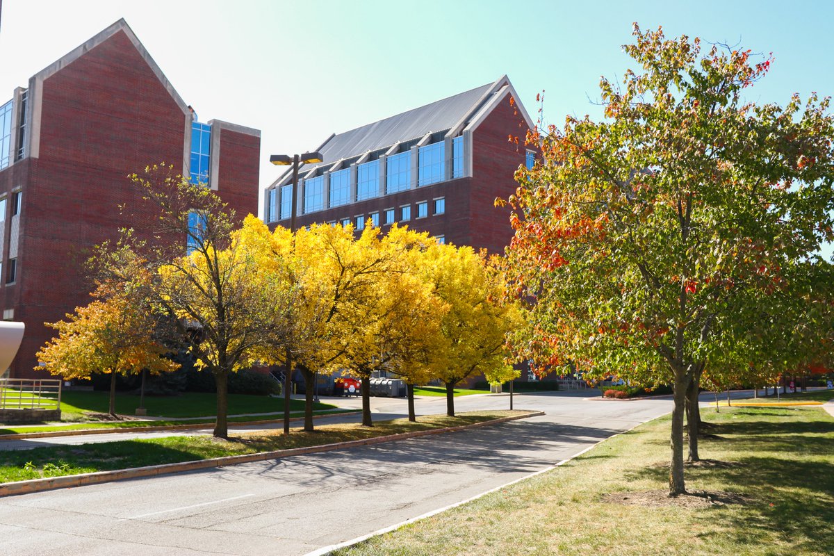 IUDeptPeds's tweet photo. We are FALL-ing in love with our campus! Especially @IUWellsCenter and @RileyChildrens 
Photos by Sydney Gendron @sydney_gendron https://t.co/RVC6cWxNtR