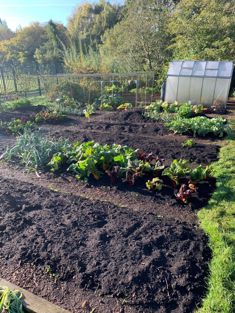 This week at the #Growni Waterworks Community Garden the group were mulching their ‘no dig’ beds for winter with #newleafcompost #peatfree #peatfreecompost